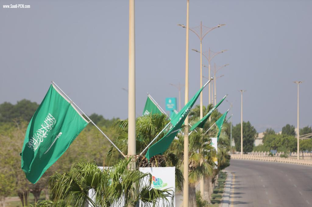 أمانة الشرقية تزين الدمام بأكثر من 2500 علم احتفاءً بيوم العلم السعودي